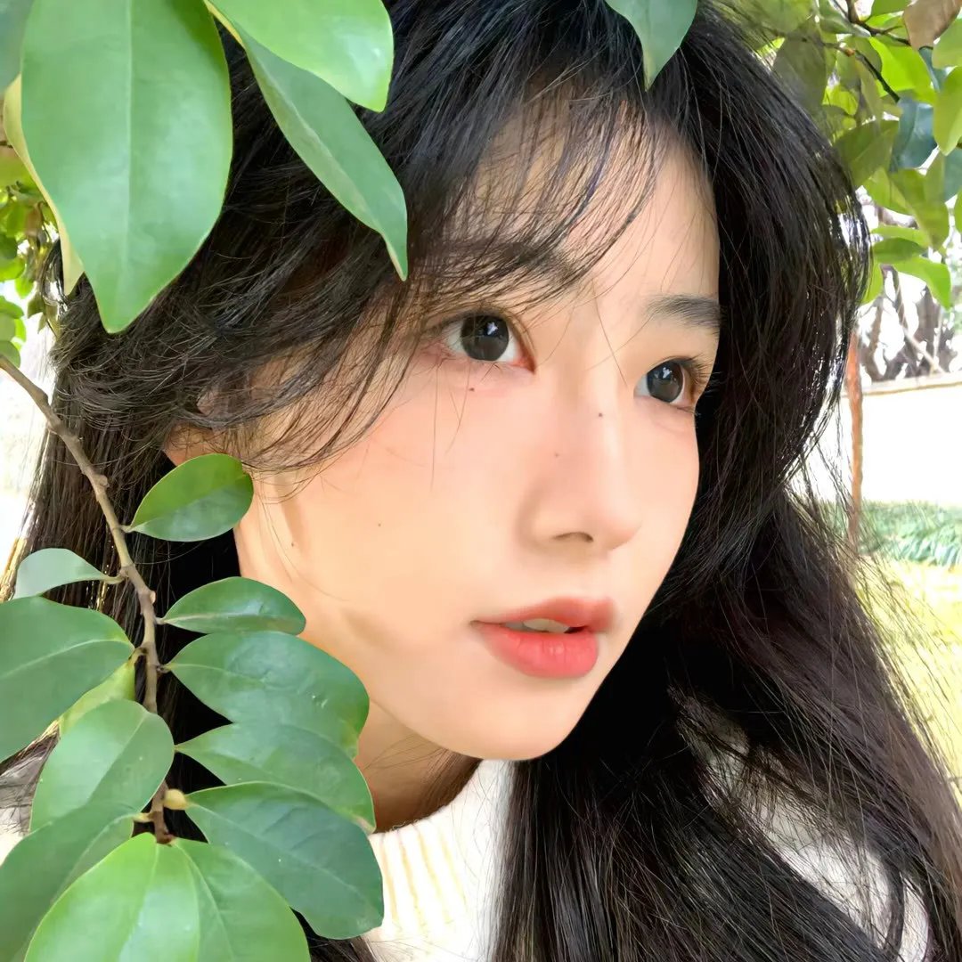 许愿树